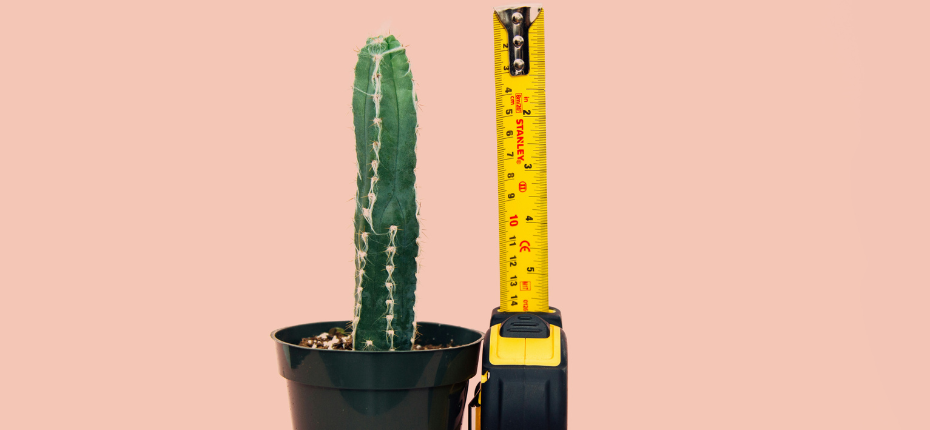 Penis Enlargement – Penis Pumps & Enlargers