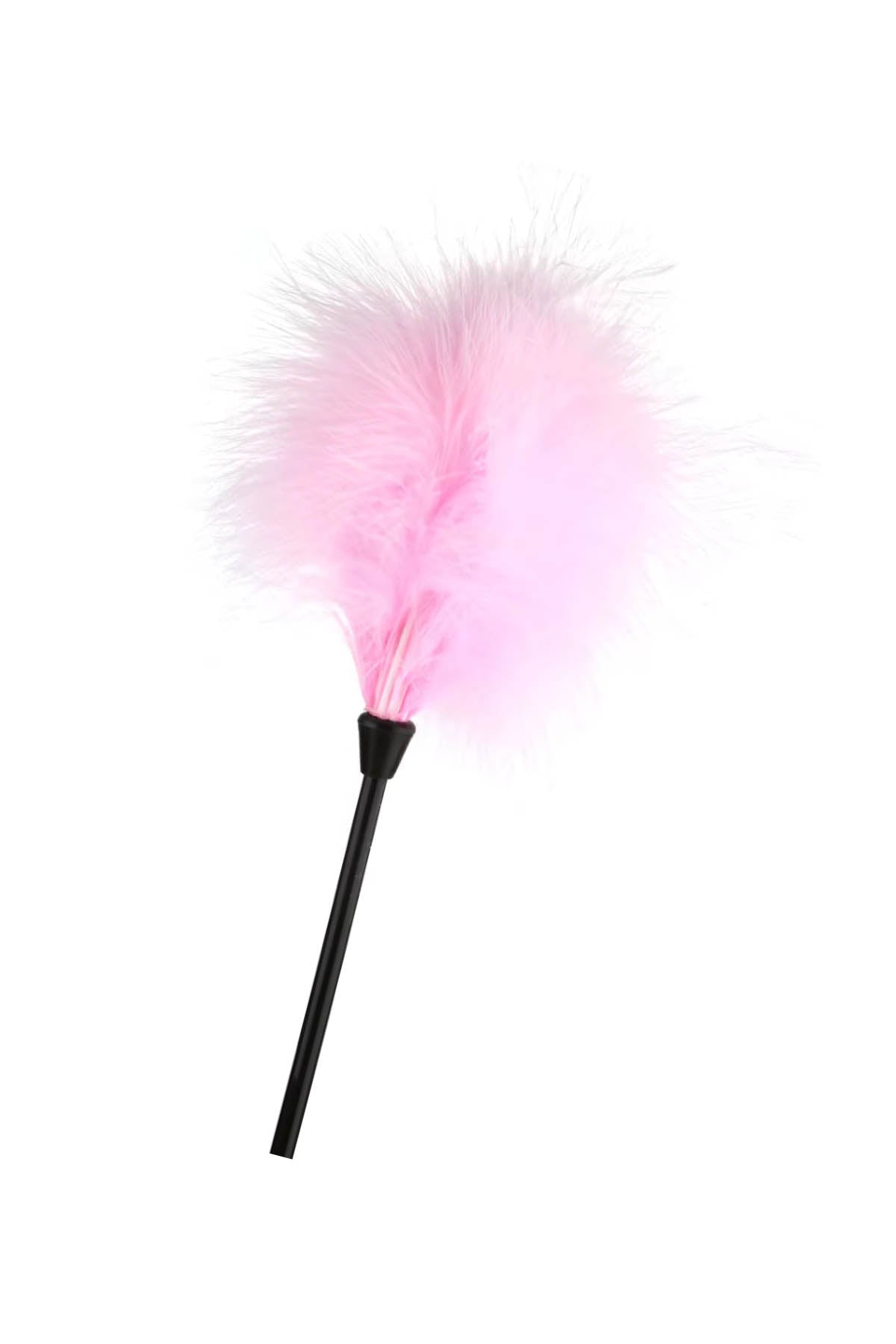 Easytoys Naughty Nights Gift Set - 7Pc