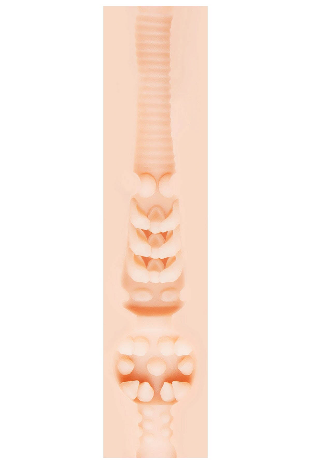 Fleshlight Stoya Destroya