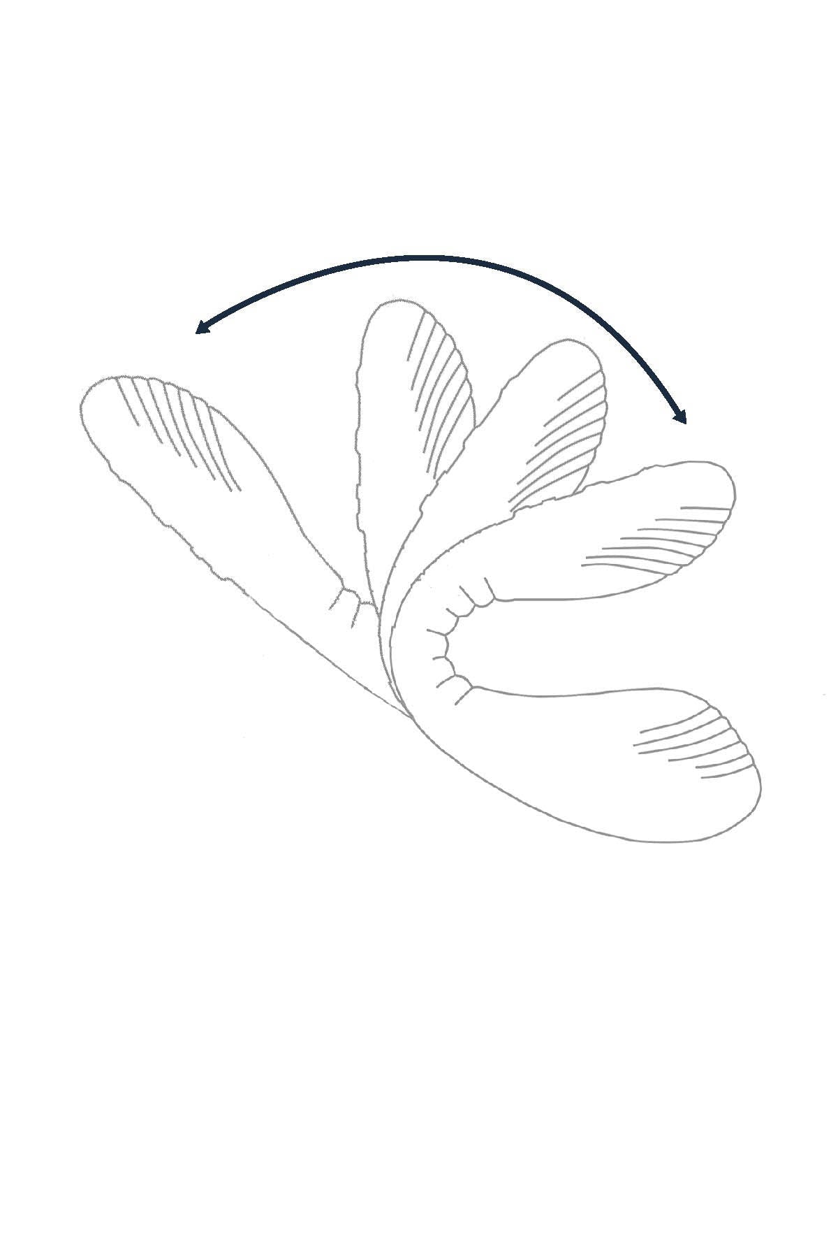 Lovense Dolce - Dual-Ended Vibrator