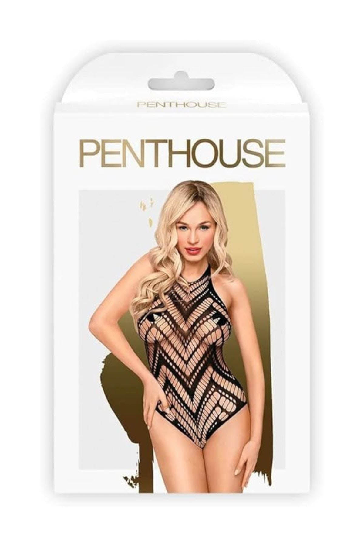 Penthouse Go Hotter Teddy