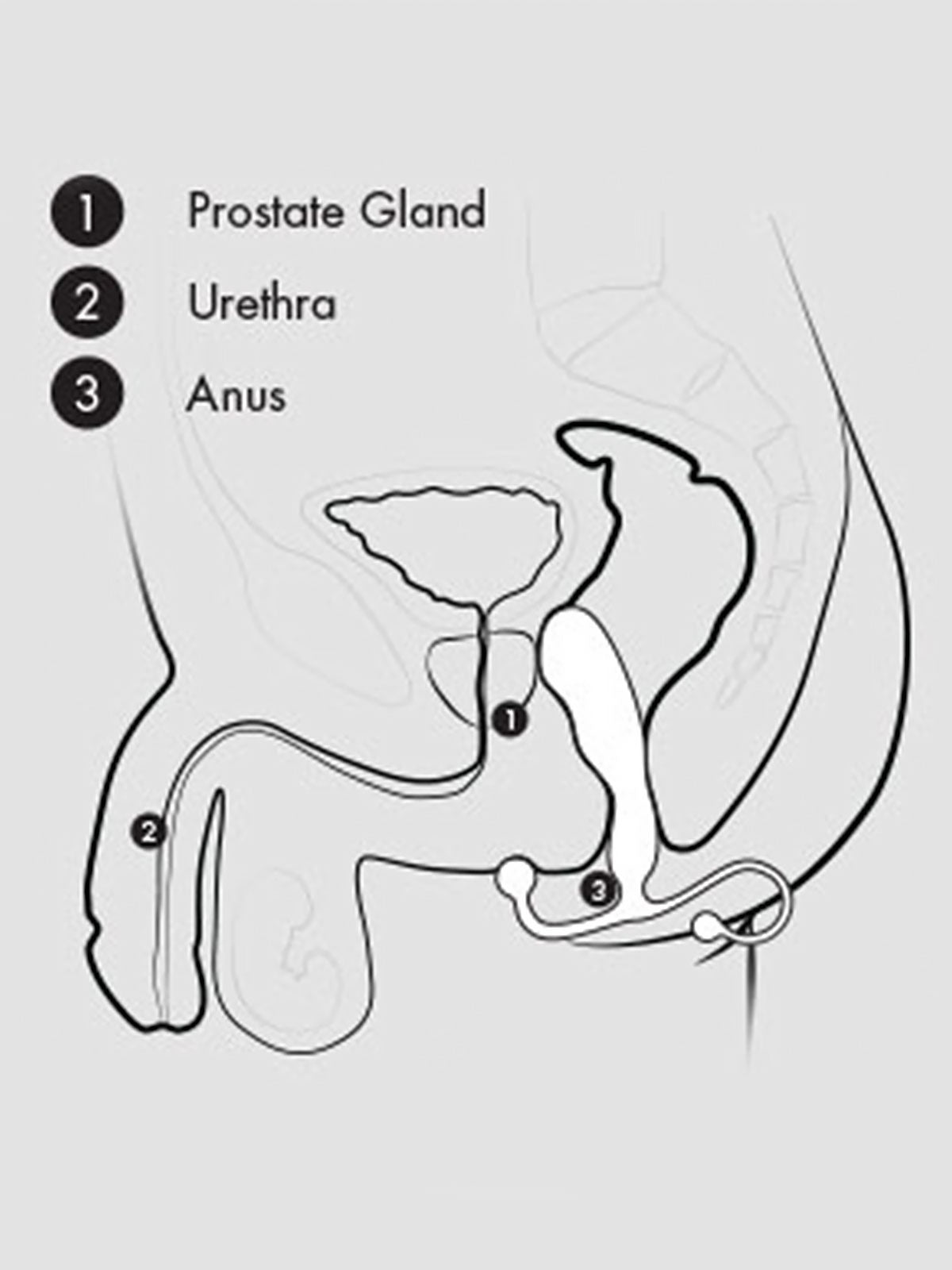 MGX Trident | Prostate Massager